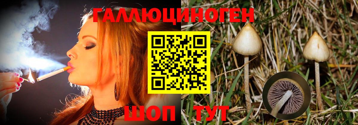 Галлюциногенные грибы Cubensis Новочебоксарск
