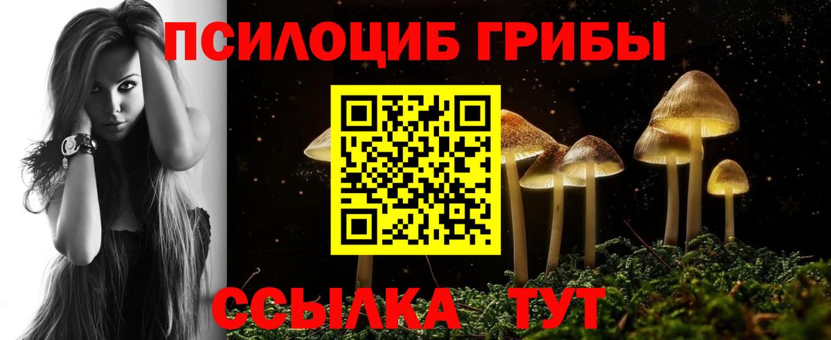 Галлюциногенные грибы мицелий  Вход с VPN  Новочебоксарск  Галлюциногенные грибы ЛСД 